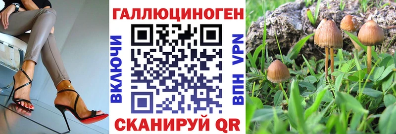 hydra как войти  купить наркотики сайты  Камень-на-Оби  Псилоцибиновые грибы Magic Shrooms 